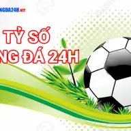 Tysobongda24h7