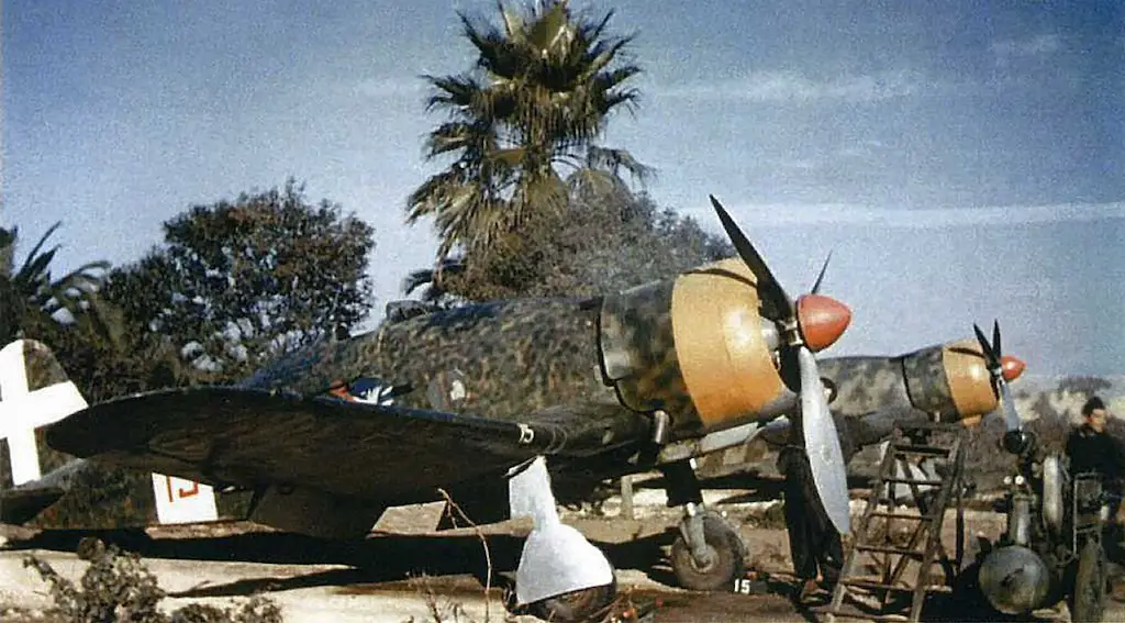 Two G.50s with different camouflage color schemes.