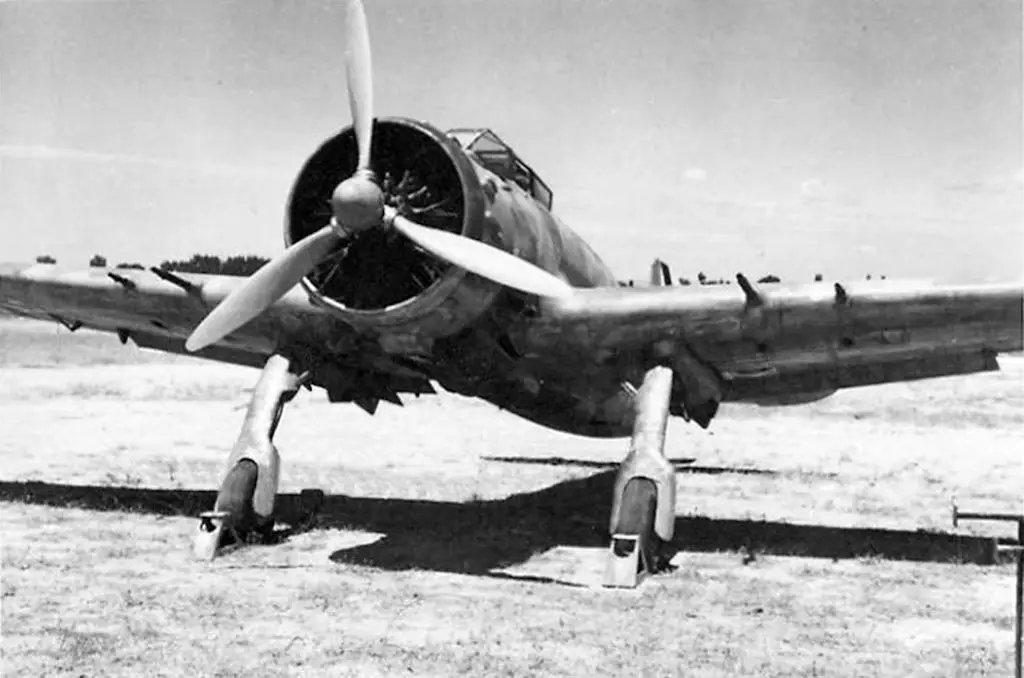 A front view of the Ba.65.