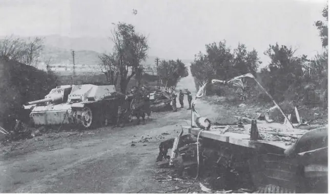 German Tanks Knocked Out Near Biguglia
